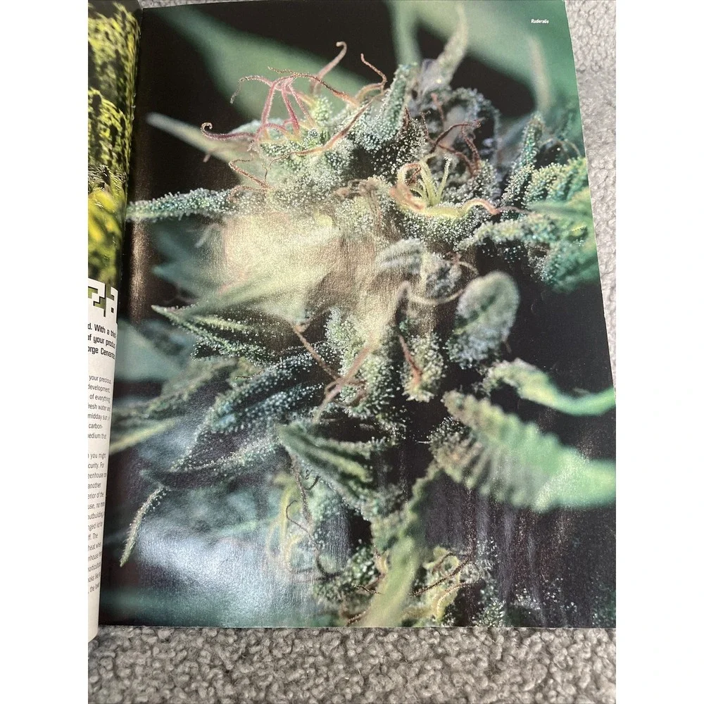 High Times Pauly Shore Summer‎ Planting Guide July 2003 Magazine